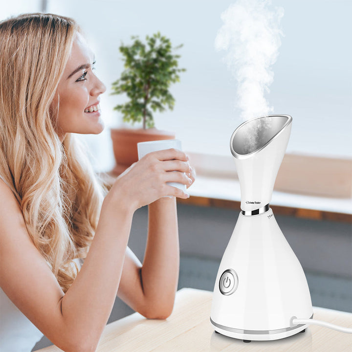 Skin Revitalizer: The Ionic Facial Steamer